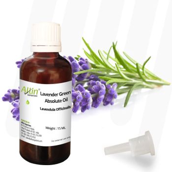 Lavender Green Absolute Oil