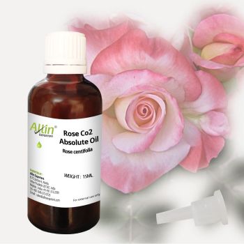 Rose Co2 Absolute Oil