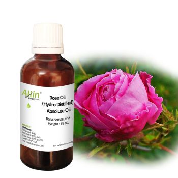 Rose Oil (Hydro Distilled) Absolute Oil
