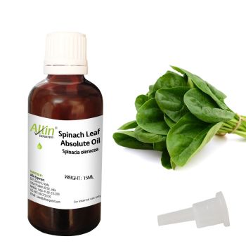 Spinach Leaf Absolute Oil