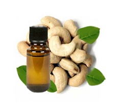 Cashew Nut Oil- Oil with Multiple Uses
