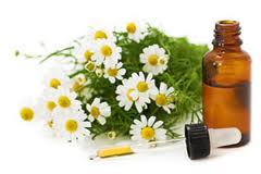 German Chamomile Essential Oil- To Treat The Number of Ailment Naturally