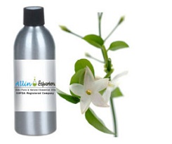Pure Jasmine Sambac oil – A true blessing of nature