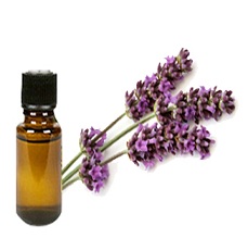 Lure him naturally with the dash of sensuality: Top five sensual essential oils