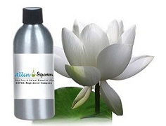 Shop Premium Quality White Lotus Attar From Our Store