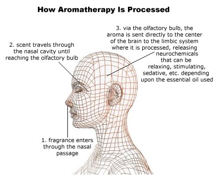 how aromkatherapy works